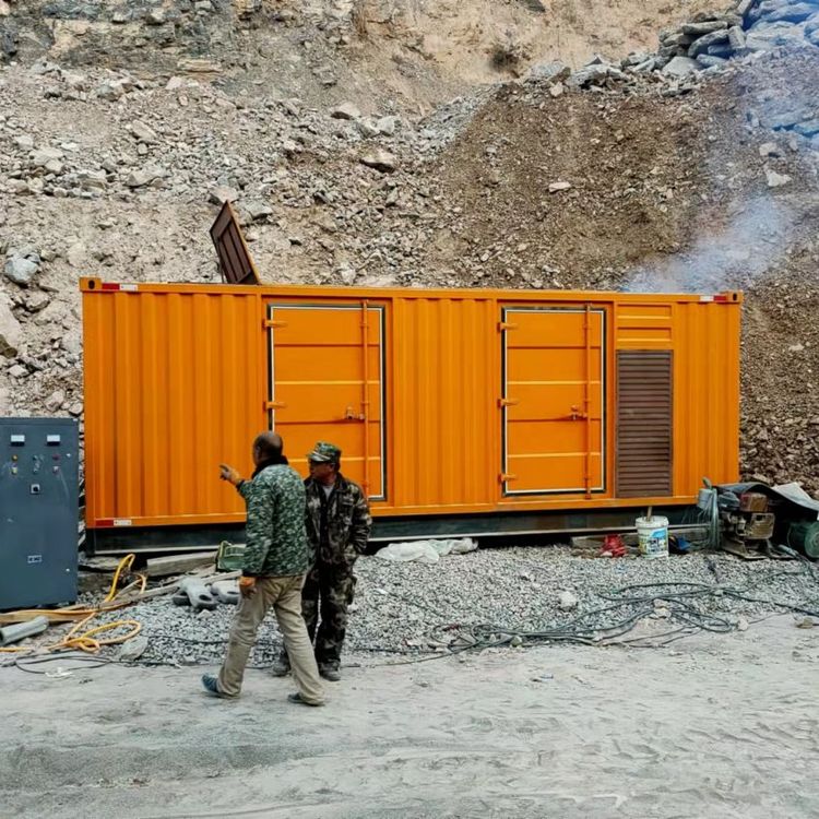 鸡冠如何选择适合自己的 800KW 柴油发电机组?